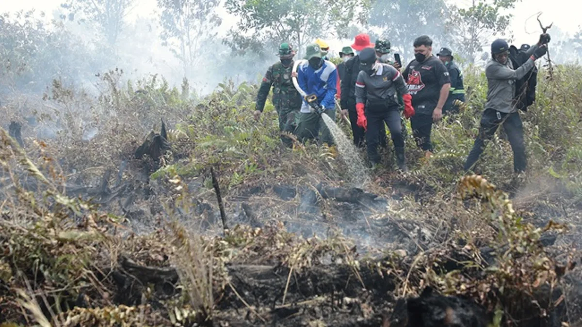 Lawan Karhutla, Begini Perjuangan Pemerintah  Daerah Hingga MPA Berjibaku Padamkan Api