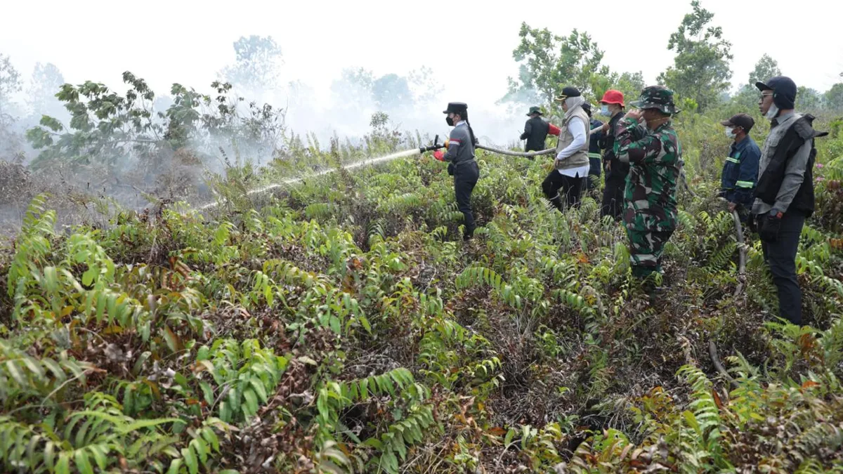 Lawan Karhutla, Begini Perjuangan Pemerintah  Daerah Hingga MPA Berjibaku Padamkan Api
