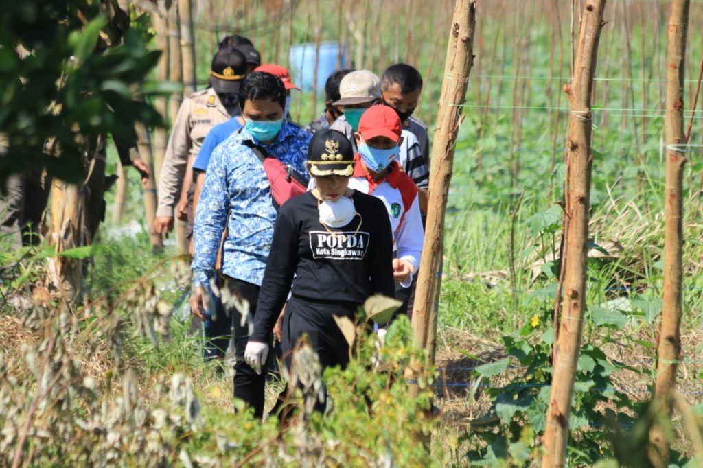 Penyerahan Destilator Cuka Kayu