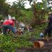 Gotong Royong