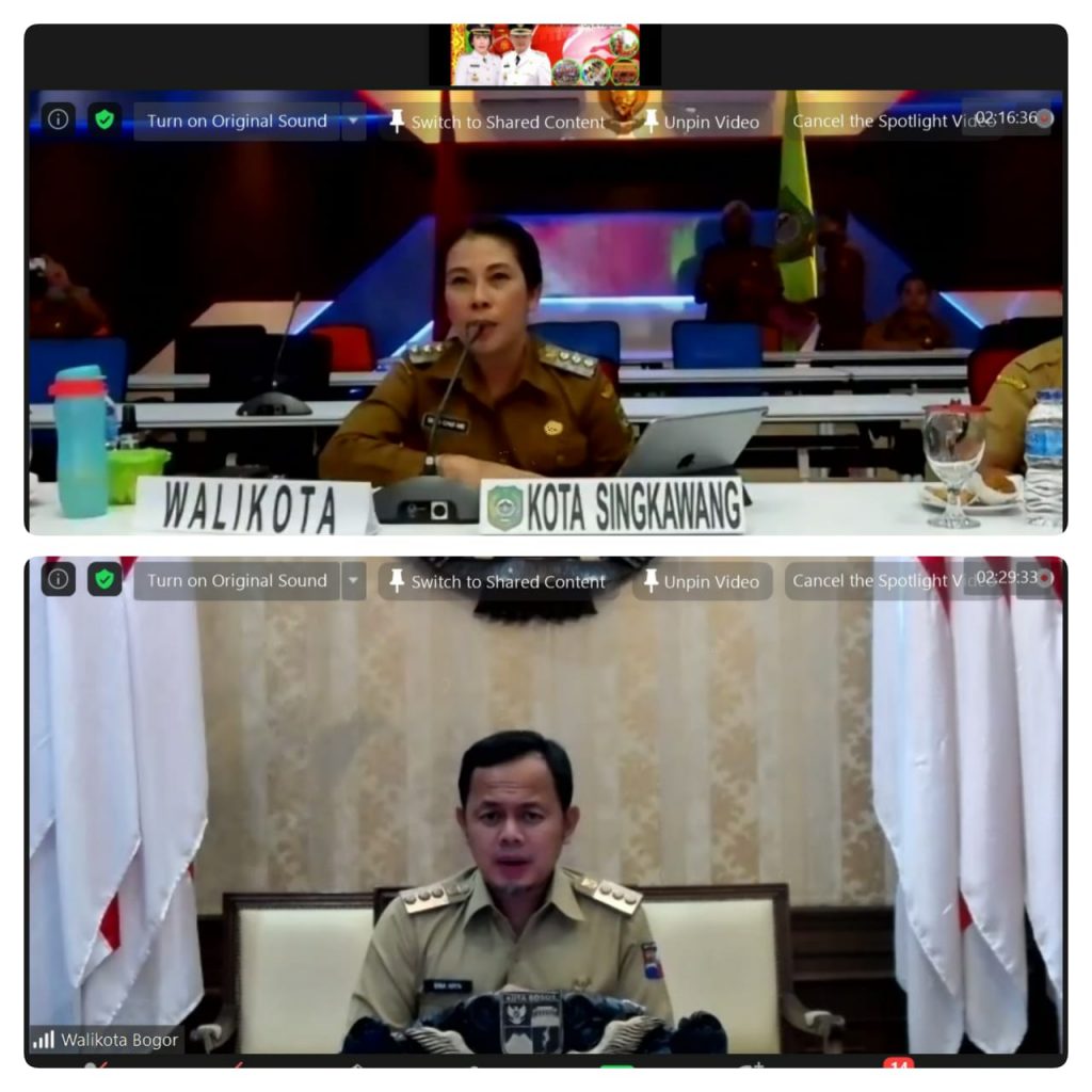 Webinar