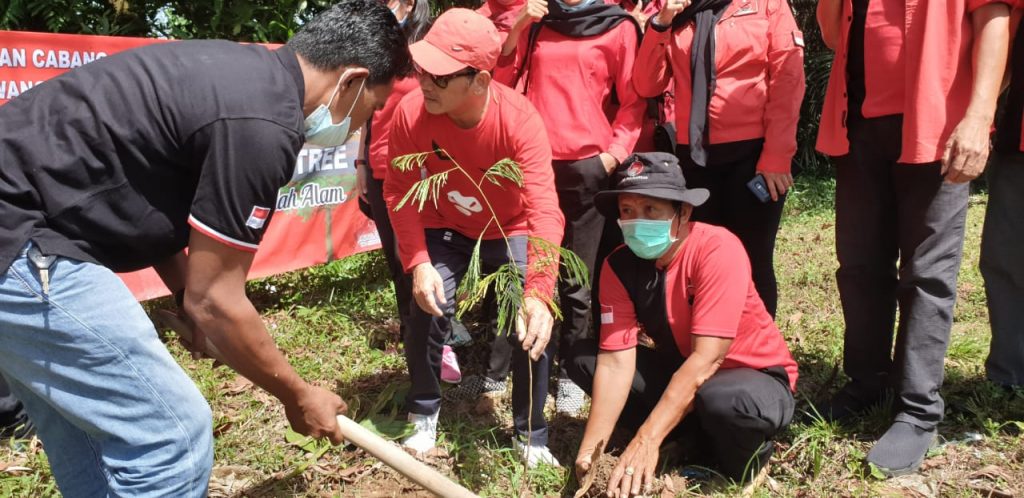 Ketua DPC PDI P Kota Singkawang Sujianto Tanam Pohon