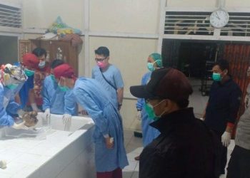 Temuan Tengkorak