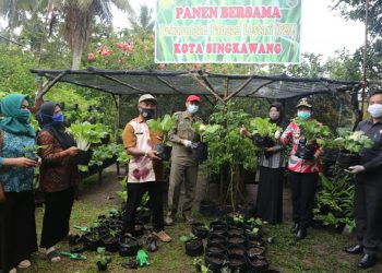 Wali Kota Ajak Manfaatkan Lahan Kosong Untuk Kegiatan Produktif Pertanian