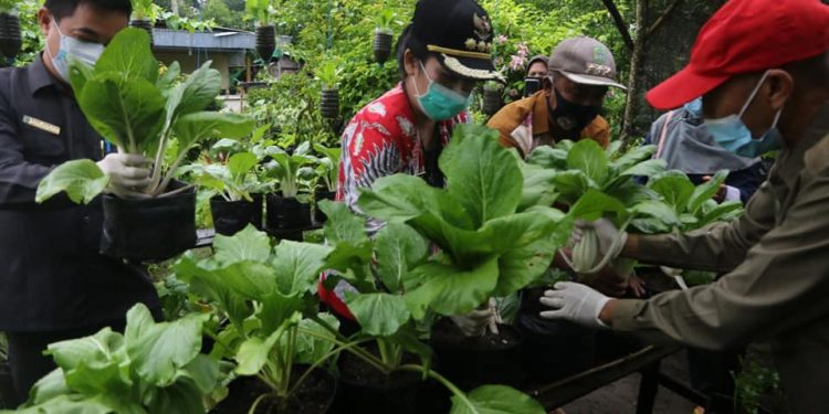 Wali Kota Ajak Manfaatkan Lahan Kosong Untuk Kegiatan Produktif Pertanian