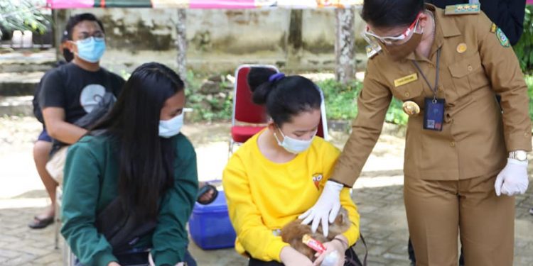 Targetkan 2021 Singkawang Bebas dari Rabies
