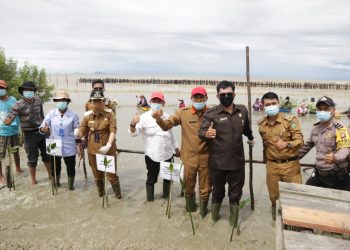 Penanaman Mangrove