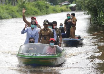 Tanam 25 ribu Mangrove untuk Kelestarian Alam