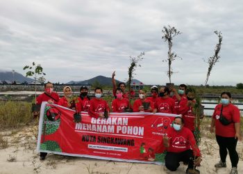 tanam pohon