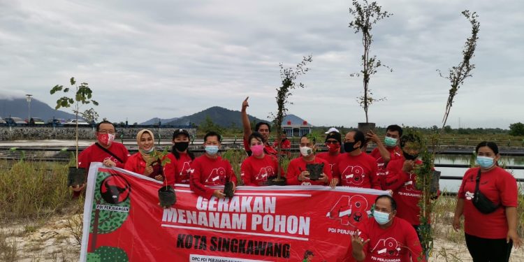 tanam pohon