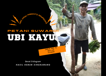 Ubi Setinggi Petani Suwardi