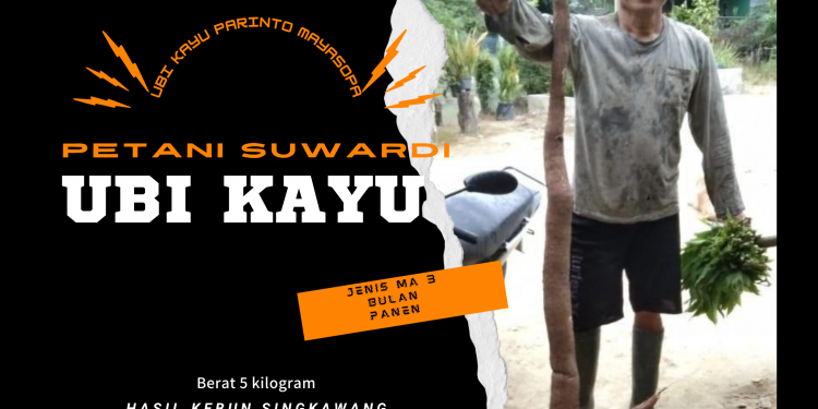 Ubi Setinggi Petani Suwardi