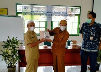 pelatihan talas