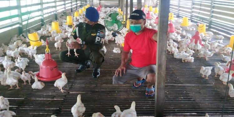 Personel Subdenpom XII/1-3 Melawi Edukasi Peternak