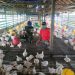 Personel Subdenpom XII/1-3 Melawi Edukasi Peternak