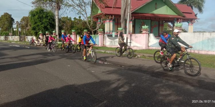 GOWES