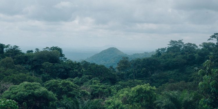 Fakta Sebenarnya di Balik Isu Penyerobotan Lahan di Sagatani Singkawang