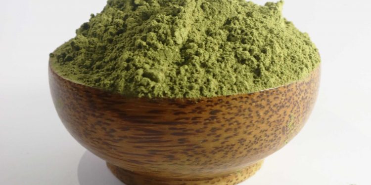 Kratom: Menjelajahi Manfaat Kesehatan dan penggunaan Tradisionalnya