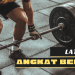 Latihan Angkat Beban