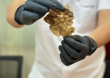 Penjualan 34,8 Kg Sisik Trenggiling Berhasil Digagalkan Satreskrim Polresta Pontianak, Begini Kronologinya