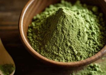 memilih suplier kratom indonesia