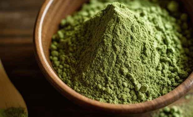memilih suplier kratom indonesia